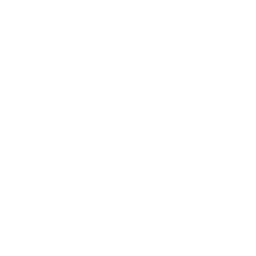 256x256 Free White Two Hearts Icon