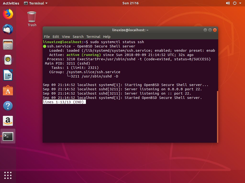 install tinymediamanager ubuntu terminal