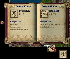 239x200 New Player Guide Basics