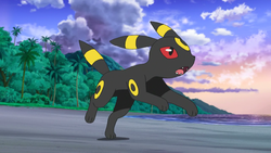 250x141 Umbreon