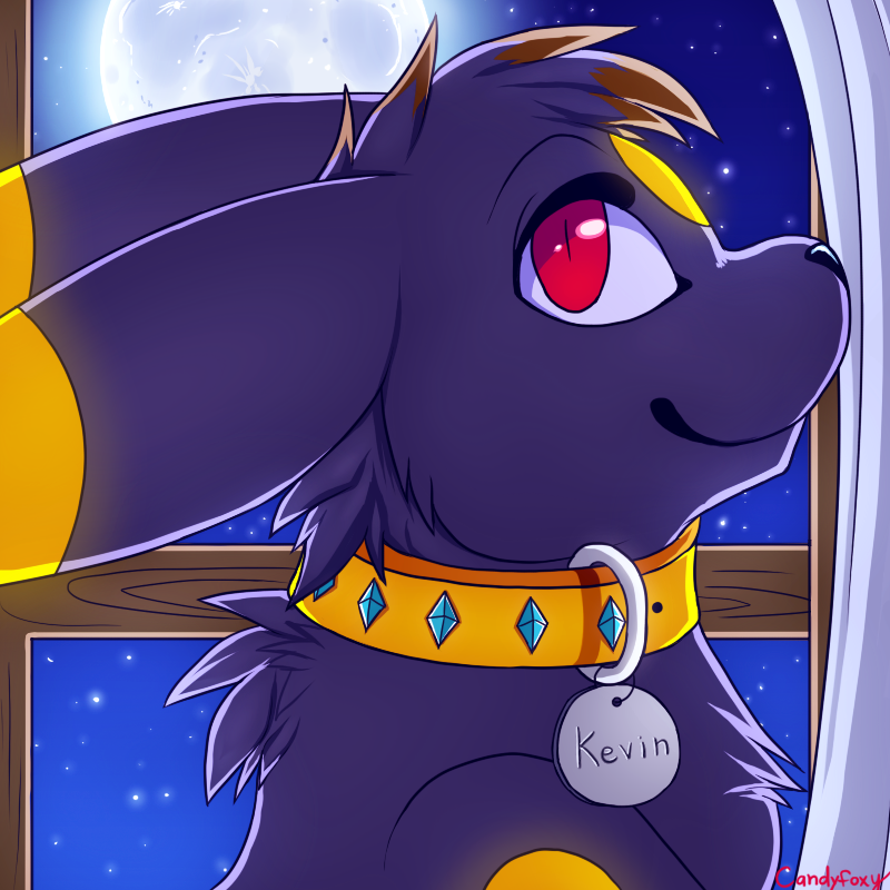 800x800 Umbreon Icon