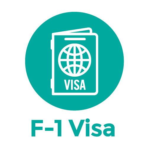 500x500 Visa Icon Undergraduate Admissions