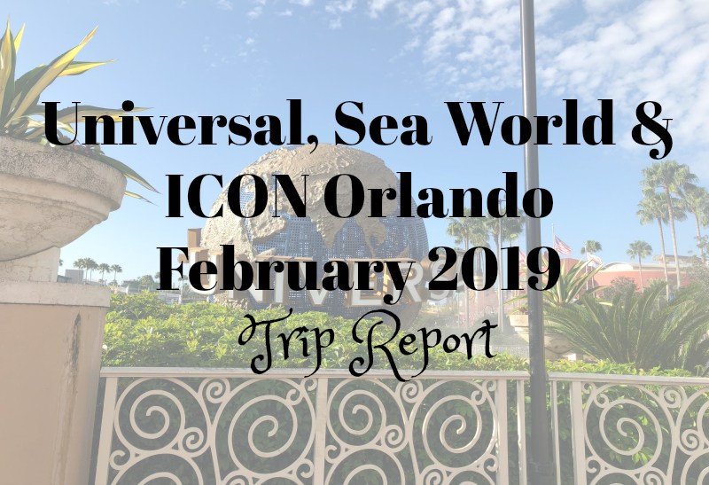 800x547 Livvy Bird Adventures