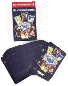 238x300 Universal Studios Parks Icon Characters Playing Cards