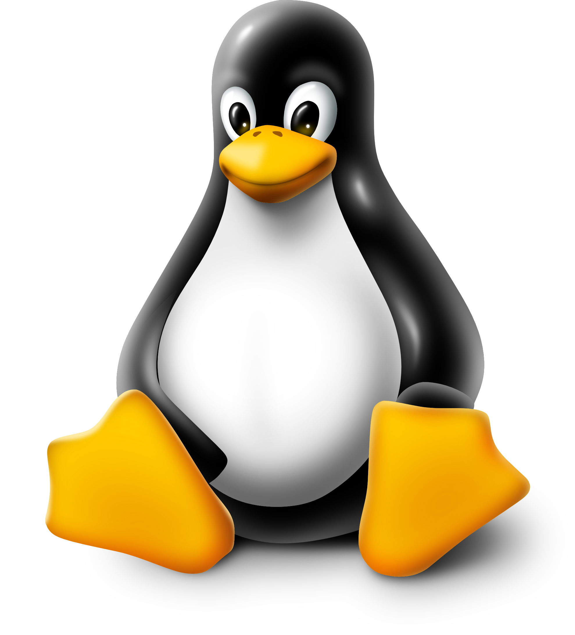 Download Free Logo Distribution Ubuntu Unix Linux Hd Image Free 1979x2186 Download Free Logo Distribution Ubuntu Unix Linux Hd Image Free