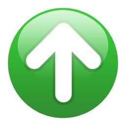 256x256 Geen Circle Arrow Up Icon
