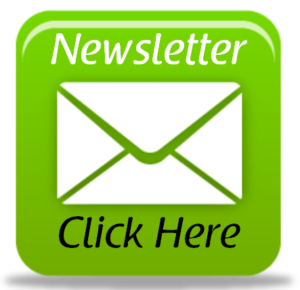 300x290 Newsletter Icon