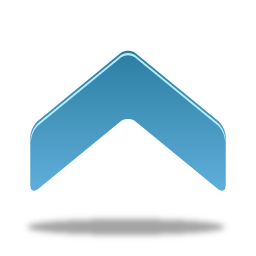 256x256 Navigate Up Icon