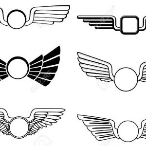300x300 Wings Shield Icon Military Army Badge Catchsplace