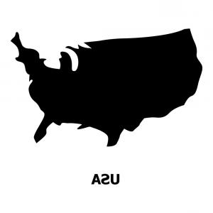300x300 Usa Map Icon Simple Style Vector Soidergi