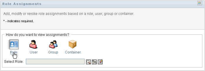 698x243 Novell Doc Identity Manager Roles Based Provisioning Module