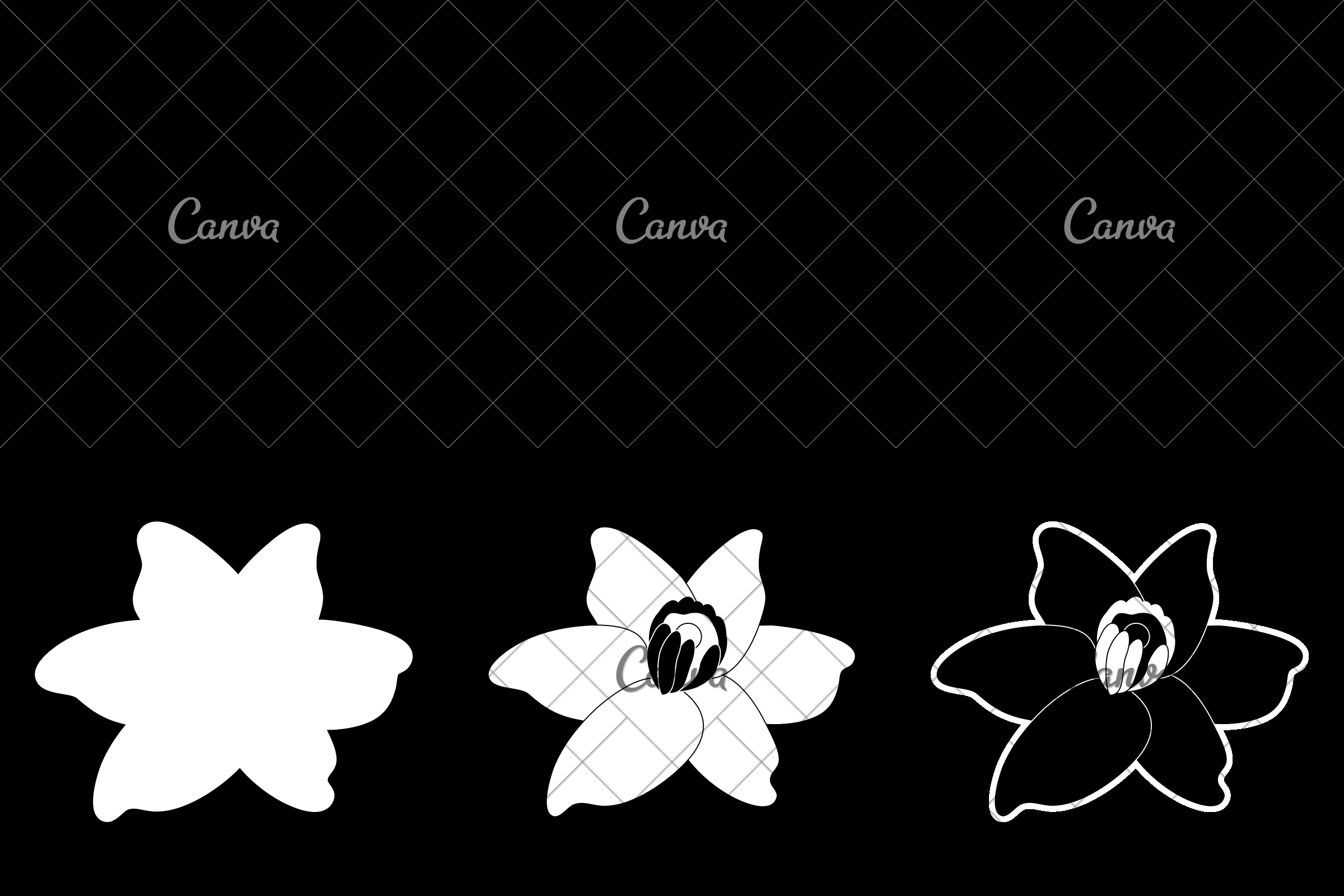 2400x1600 Vanilla Flower Icon Image