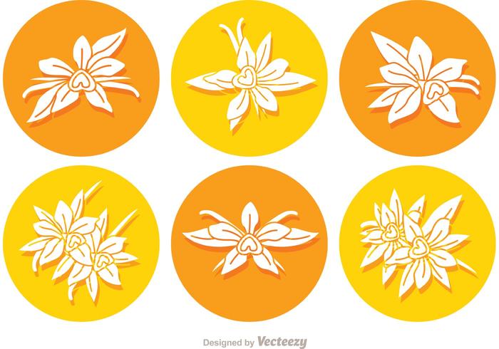 700x490 Vanilla Flower Round Icon Vectors