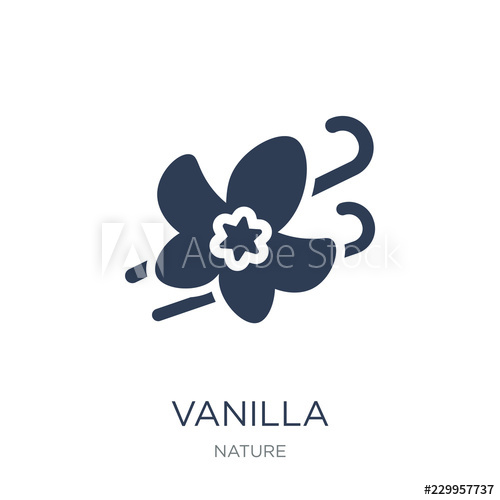 500x500 Vanilla Icon Trendy Flat Vector Vanilla Icon On White Background