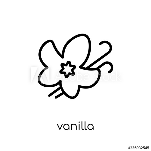 500x500 Vanilla Icon Trendy Modern Flat Linear Vector Vanilla Icon