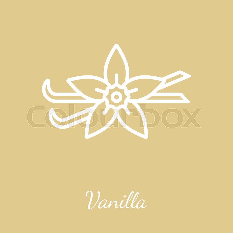 Vanilla Icon at Vectorified.com | Collection of Vanilla Icon free for ...