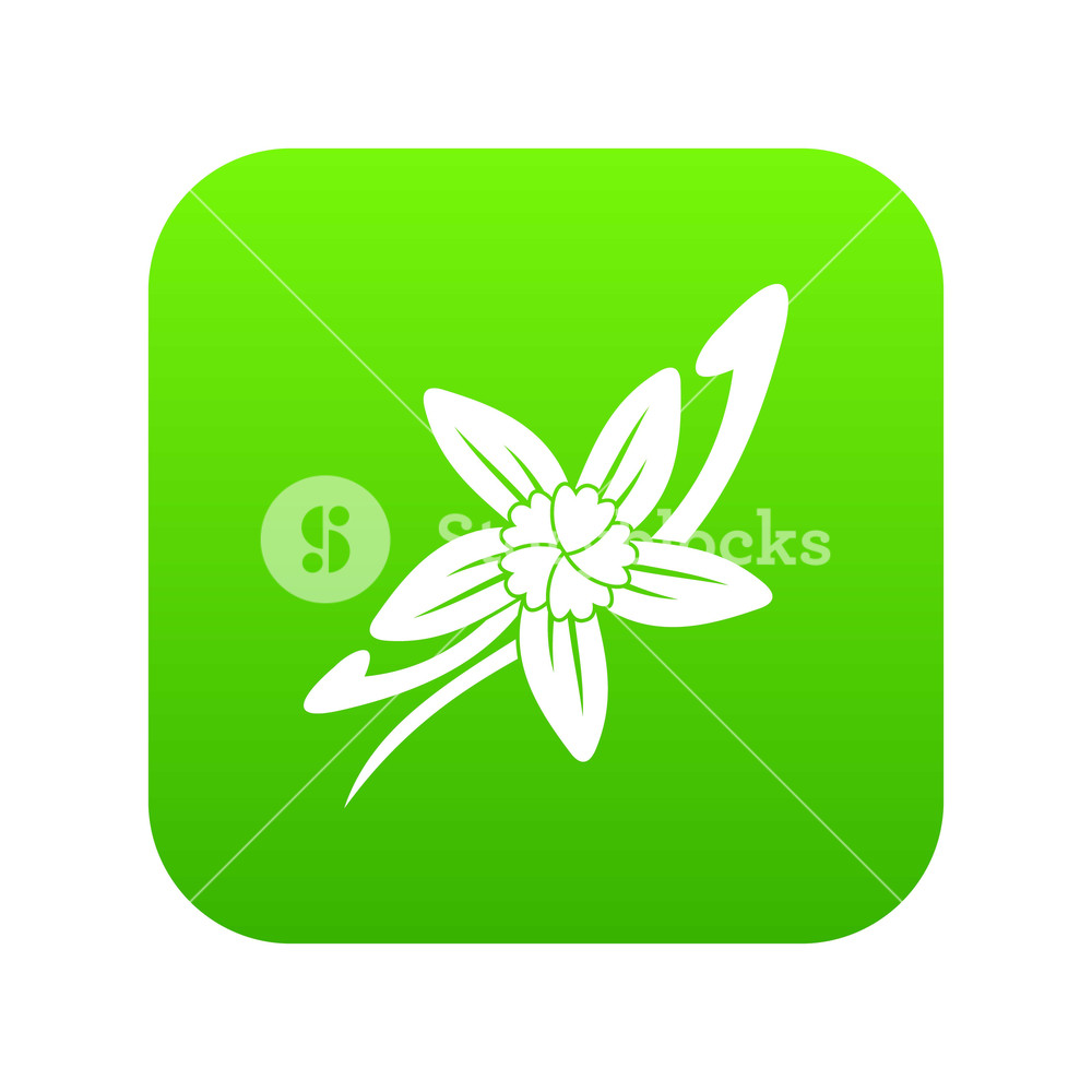 1000x1000 Vanilla Sticks With A Flower Icon Digital Green For Any Design