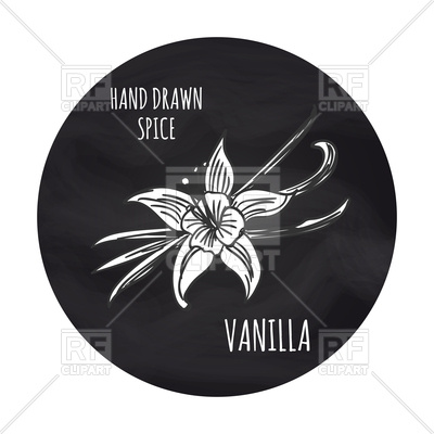 400x400 Hand Drawn Spice Vanilla Icon Vector Image Of Food And Beverages