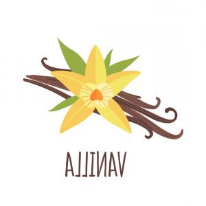300x300 Various Icons Of Vanilla Bean And Flowers Gm Catchsplace