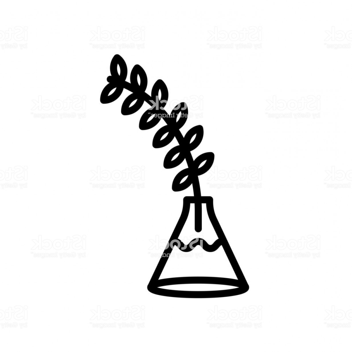 1228x1228 Fern Plant On Vase Icon Isolated On White Background Gm Catchsplace