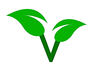 309x228 Zuii Certified Organic Satin Lip Colour Zuii Organic