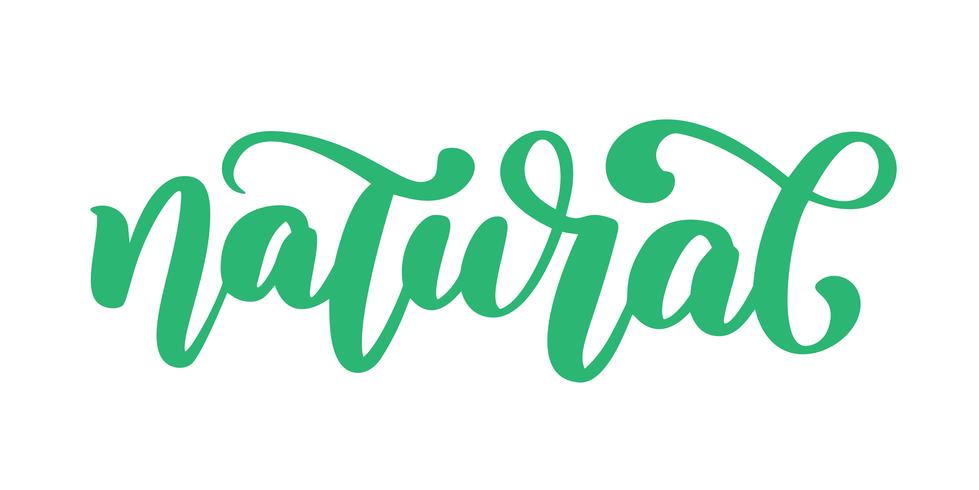 979x490 Natural Icon Hand Drawn Calligpaphy Isolated Vector Illustration