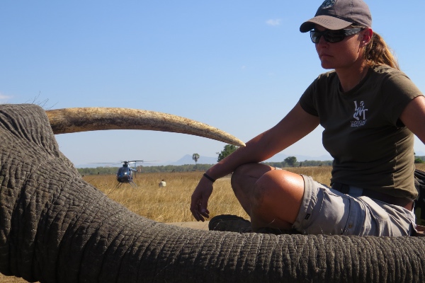 600x400 Realscreen Archive Love Nature Commissions Icon Films