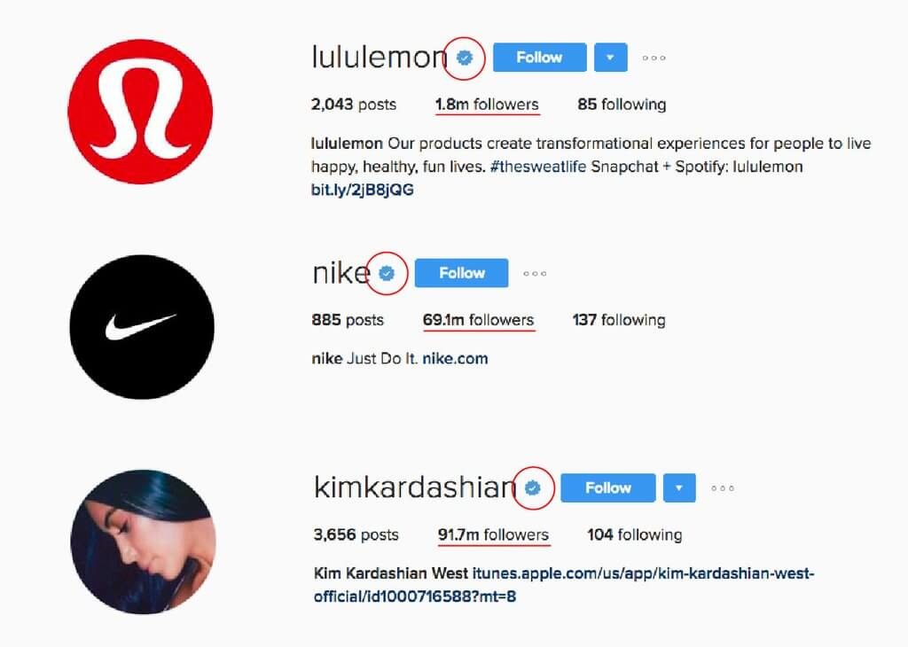 1024x730 How To Get Verified On Instagram In Falcon Io