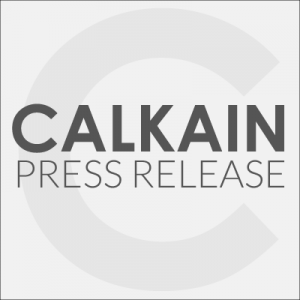 300x300 Fallon Completes The Sale Of Two Verizon Wireless Properties Calkain