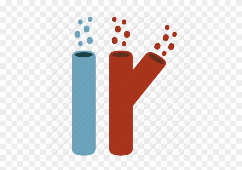 840x592 Blood Vessel Icon Clipart Blood Vessel Computer Icons