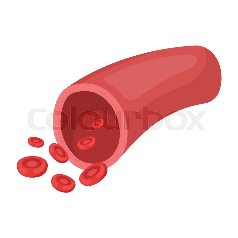 800x800 Blood Vessel Icon In Cartoon Style Stock Vector Colourbox