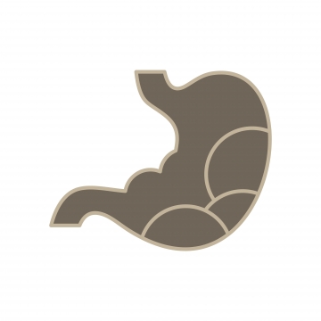 360x360 Vessels Icon Png, Vector, And Clipart With Transparent