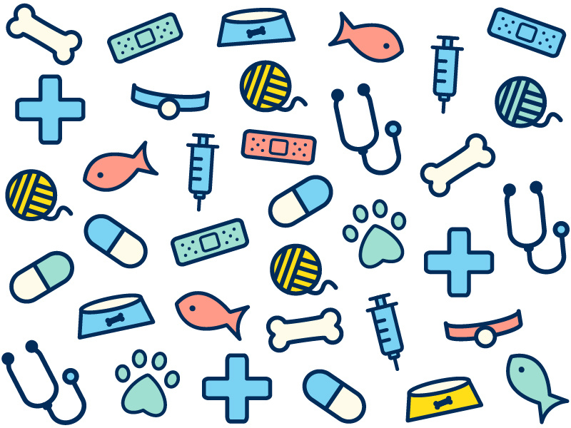 Vet Icons 800x600 Vet Icons