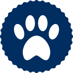 Catonsville's Neighborhood Vet 250x250 Catonsville's Neighborhood Vet