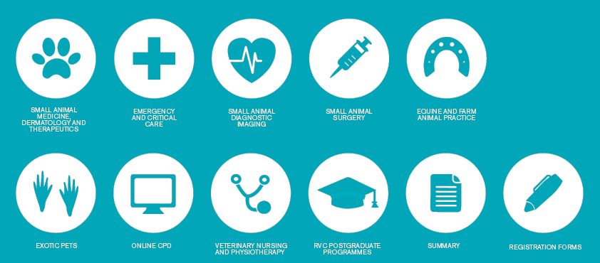 842x370 Veterinary Icon Set Icons College Brochure, Veterinary