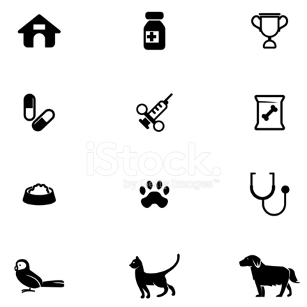 440x440 Veterinary Icon Set Stock Vector