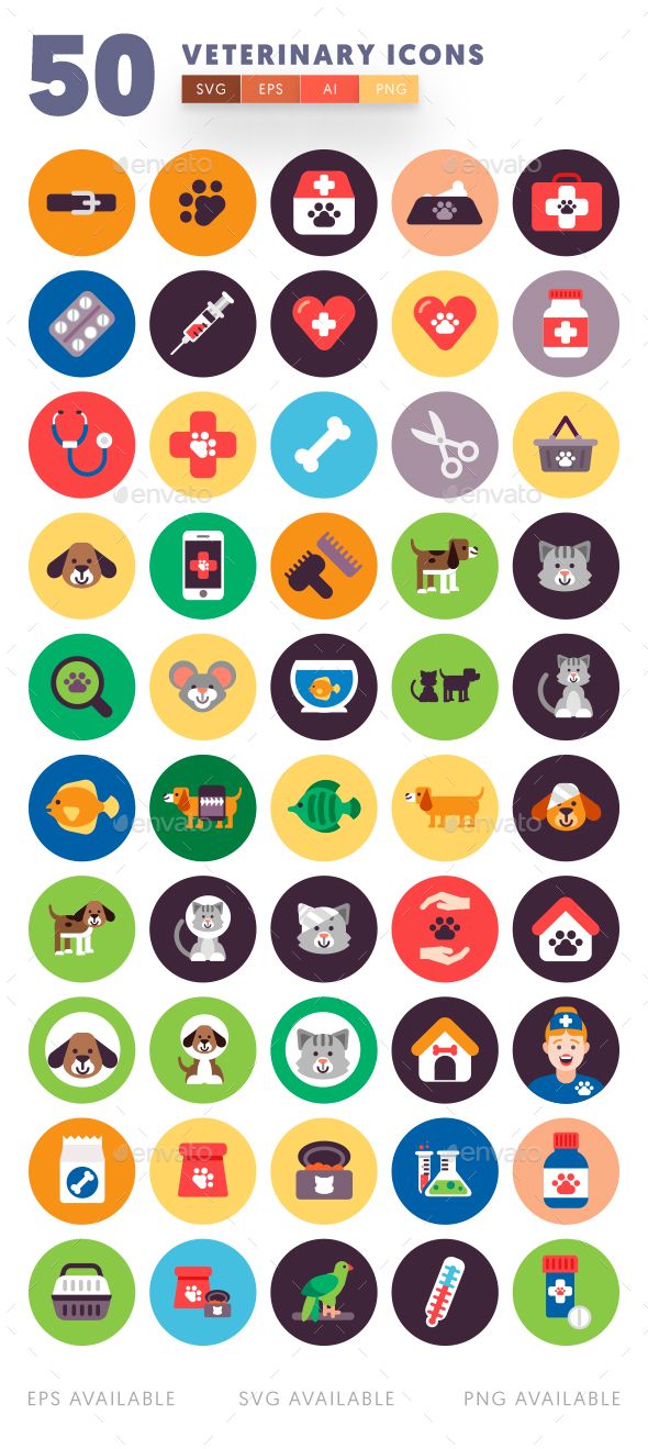 590x1319 Veterinary Icons Fully Customisable Set Of Icons