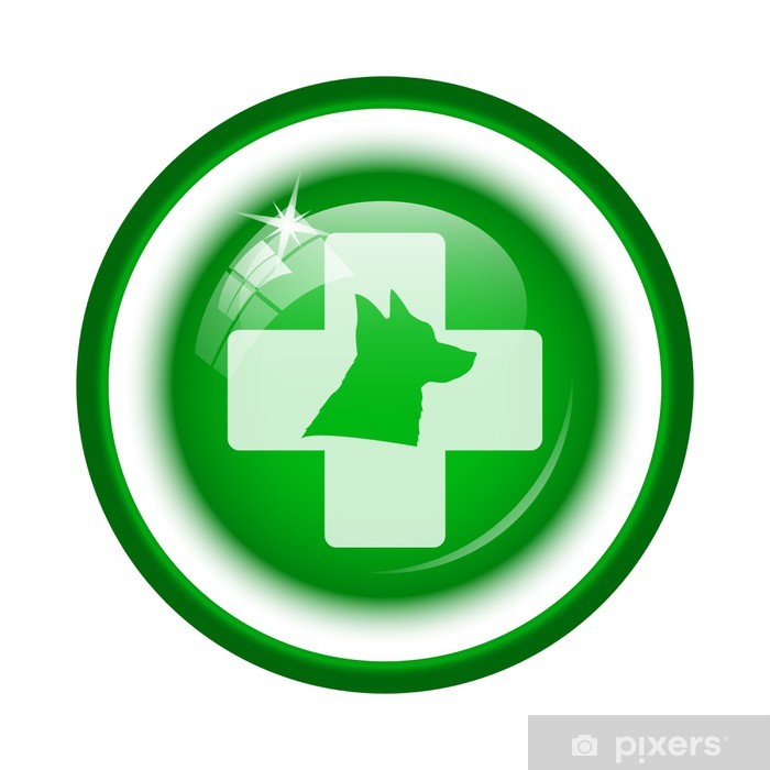 700x700 Veterinary Icon Wall Mural