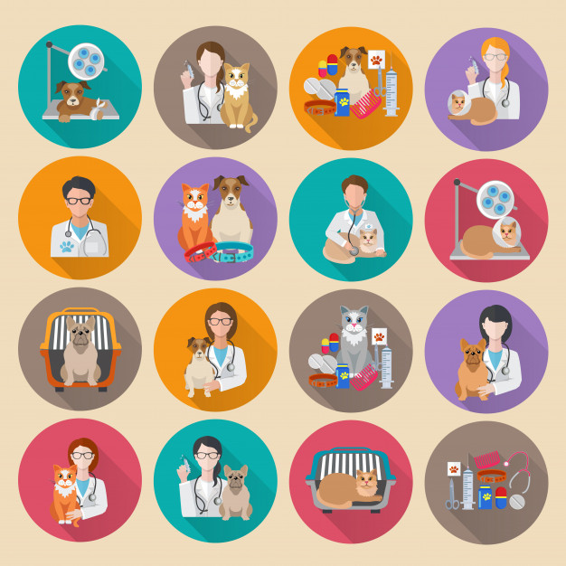 626x626 Veterinary Icon Flat Vector Free Download