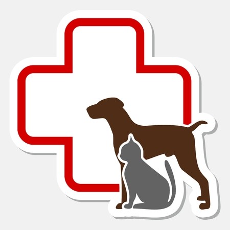 450x450 Veterinary Icon With Medicine Symbol Royalty Free Vector Graphics
