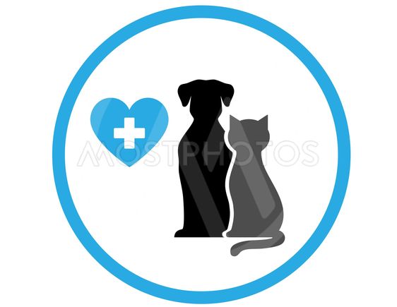 562x435 Round Veterinary Icon