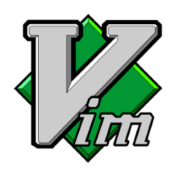 256x256 Vim