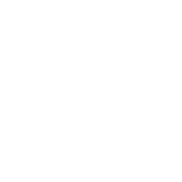 256x256 Free White Video Call Icon