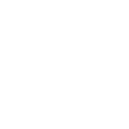 256x256 Cart Icon