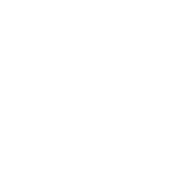 Free White View Details Icon 256x256 Free White View Details Icon