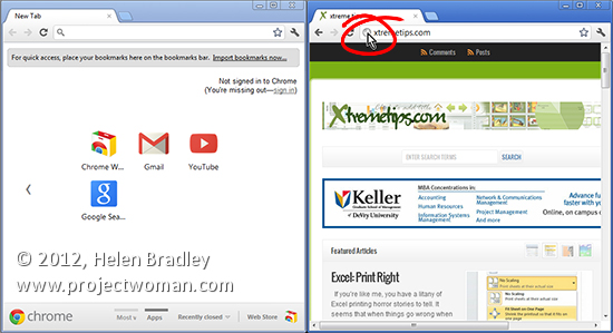 Google Chrome 550x299 Google Chrome