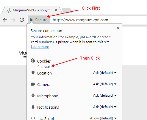 How To View Cookies In Chrome 494x401 How To View Cookies In Chrome