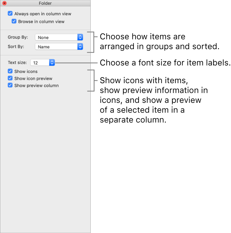 Change Options For Icon, List, Column, Or Gallery View 787x793 Change Options For Icon, List, Column, Or Gallery View