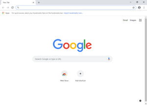 Google Chrome 300x213 Google Chrome