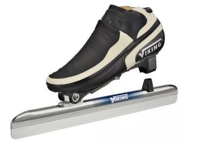 Viking Gold Icon 400x292 Viking Gold Icon